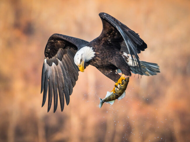 Sarah Blystone - Cecil County Arts Council - Maryland Art