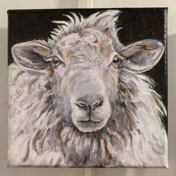 Sheep Closeup - 6x6 Fundraiser - Cecil County Arts Council